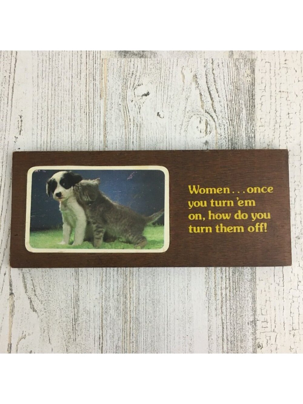 Vtg Women How Do You Turn Them Off Dog Cat Wall Plaque Sign Wallace Berry & Co.